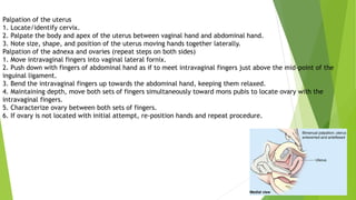 Genitourinary Examination.pptx