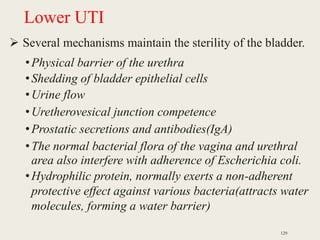 Lower UTI
 Several mechanisms maintain the sterility of the bladder.
•Physical barrier of the urethra
•Shedding of bladder epithelial cells
•Urine flow
•Uretherovesical junction competence
•Prostatic secretions and antibodies(IgA)
•The normal bacterial flora of the vagina and urethral
area also interfere with adherence of Escherichia coli.
•Hydrophilic protein, normally exerts a non-adherent
protective effect against various bacteria(attracts water
molecules, forming a water barrier)
129
 