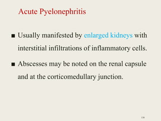 Acute Pyelonephritis
■ Usually manifested by enlarged kidneys with
interstitial infiltrations of inflammatory cells.
■ Abscesses may be noted on the renal capsule
and at the corticomedullary junction.
138
 