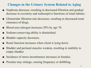 Changes in the Urinary System Related to Aging
■ Nephrons decrease, resulting in decreased filtration and gradual
decrease in excretory and reabsorptive functions of renal tubules.
■ Glomerular filtration rate decreases, resulting in decreased renal
clearance of drugs.
■ Blood urea nitrogen increases 20% by age 70.
■ Sodium-conserving ability is diminished.
■ Bladder capacity decreases.
■ Renal function increases when client is lying down.
■ Bladder and perineal muscles weaken, resulting in inability to
empty bladder.
■ Incidence of stress incontinence increases in females.
■ Prostate may enlarge, causing frequency or dribbling.
28
 