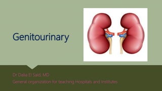 Genitourinary
Dr Dalia El Said, MD
General organization for teaching Hospitals and Institutes.