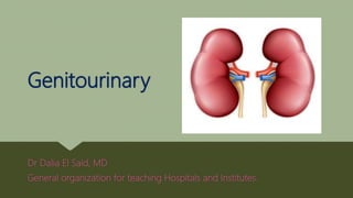 Genitourinary
Dr Dalia El Said, MD
General organization for teaching Hospitals and Institutes.
 