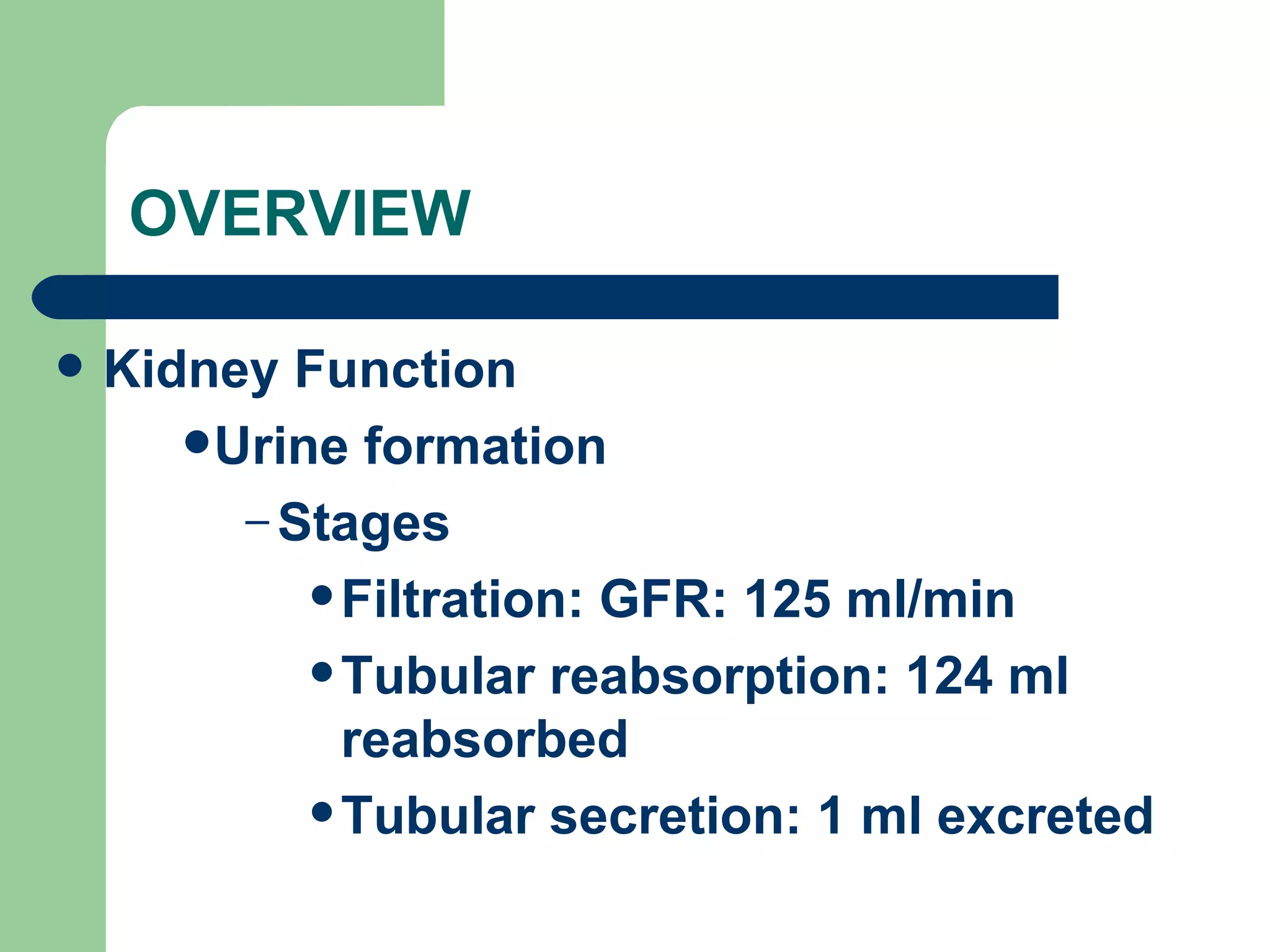 OVERVIEW Kidney Function Urine formation Stages Filtration: GFR: 125 ml/min Tubular reabsorption: 124 ml reabsorbed Tubular secretion: 1 ml excreted 