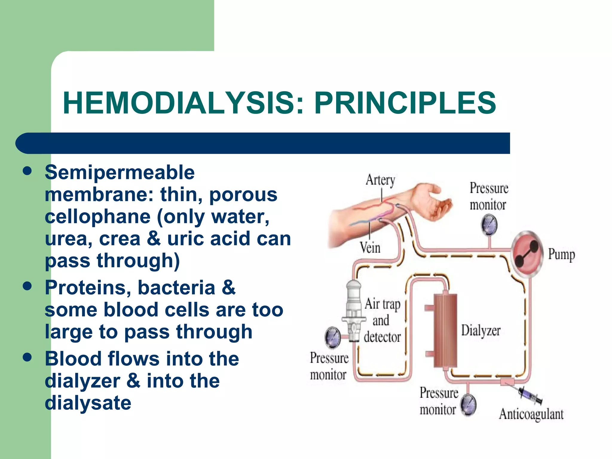 HEMODIALYSIS: PRINCIPLES Semipermeable membrane: thin, porous cellophane (only water, urea, crea & uric acid can pass through) Proteins, bacteria & some blood cells are too large to pass through Blood flows into the dialyzer & into the dialysate 