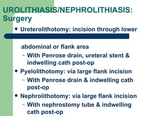 Genitourinary System | PPT