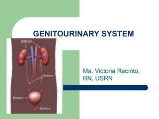 GENITOURINARY SYSTEM Ma. Victoria Recinto, RN, USRN 