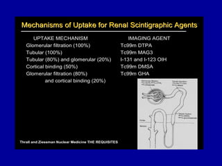 Mechanisms of Uptake for Renal Scintigraphic Agents
      UPTAKE MECHANISM                                    IMAGING AGENT
   Glomerular filtration (100%)                       Tc99m DTPA
   Tubular (100%)                                     Tc99m MAG3
   Tubular (80%) and glomerular (20%)                 I-131 and I-123 OIH
   Cortical binding (50%)                             Tc99m DMSA
   Glomerular filtration (80%)                        Tc99m GHA
            and cortical binding (20%)




Thrall and Ziessman Nuclear Medicine THE REQUISITES
 