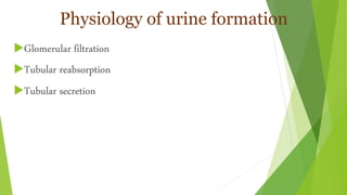 Physiology of urine formation
Glomerular filtration
Tubular reabsorption
Tubular secretion
 
