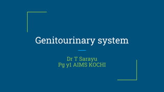 Genitourinary system
Dr T Sarayu
Pg y1 AIMS KOCHI
 