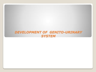 DEVELOPMENT OF GENITO-URINARY
SYSTEM
 