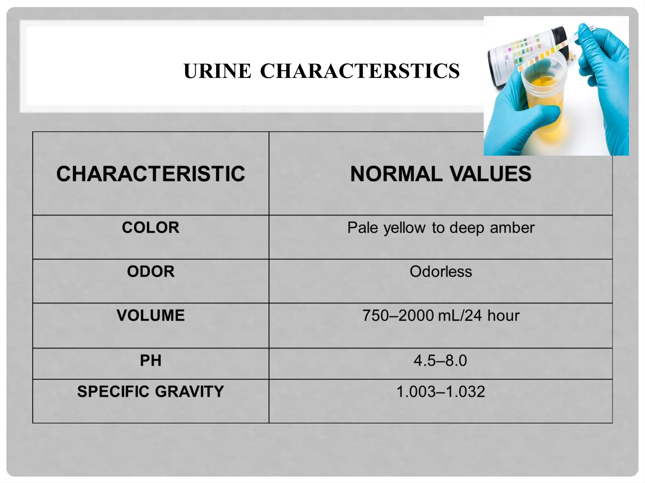 URINE CHARACTERSTICS
 