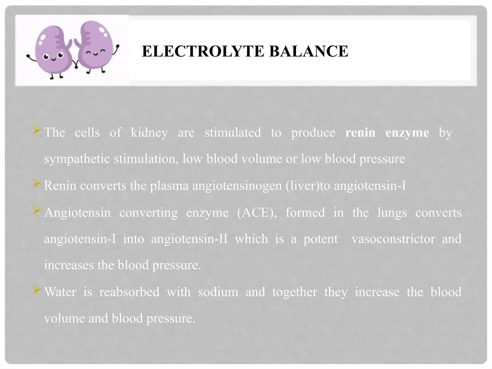 ELECTROLYTE BALANCE
The cells of kidney are stimulated to produce renin enzyme by
sympathetic stimulation, low blood volume or low blood pressure
Renin converts the plasma angiotensinogen (liver)to angiotensin-I
Angiotensin converting enzyme (ACE), formed in the lungs converts
angiotensin-I into angiotensin-II which is a potent vasoconstrictor and
increases the blood pressure.
Water is reabsorbed with sodium and together they increase the blood
volume and blood pressure.
 