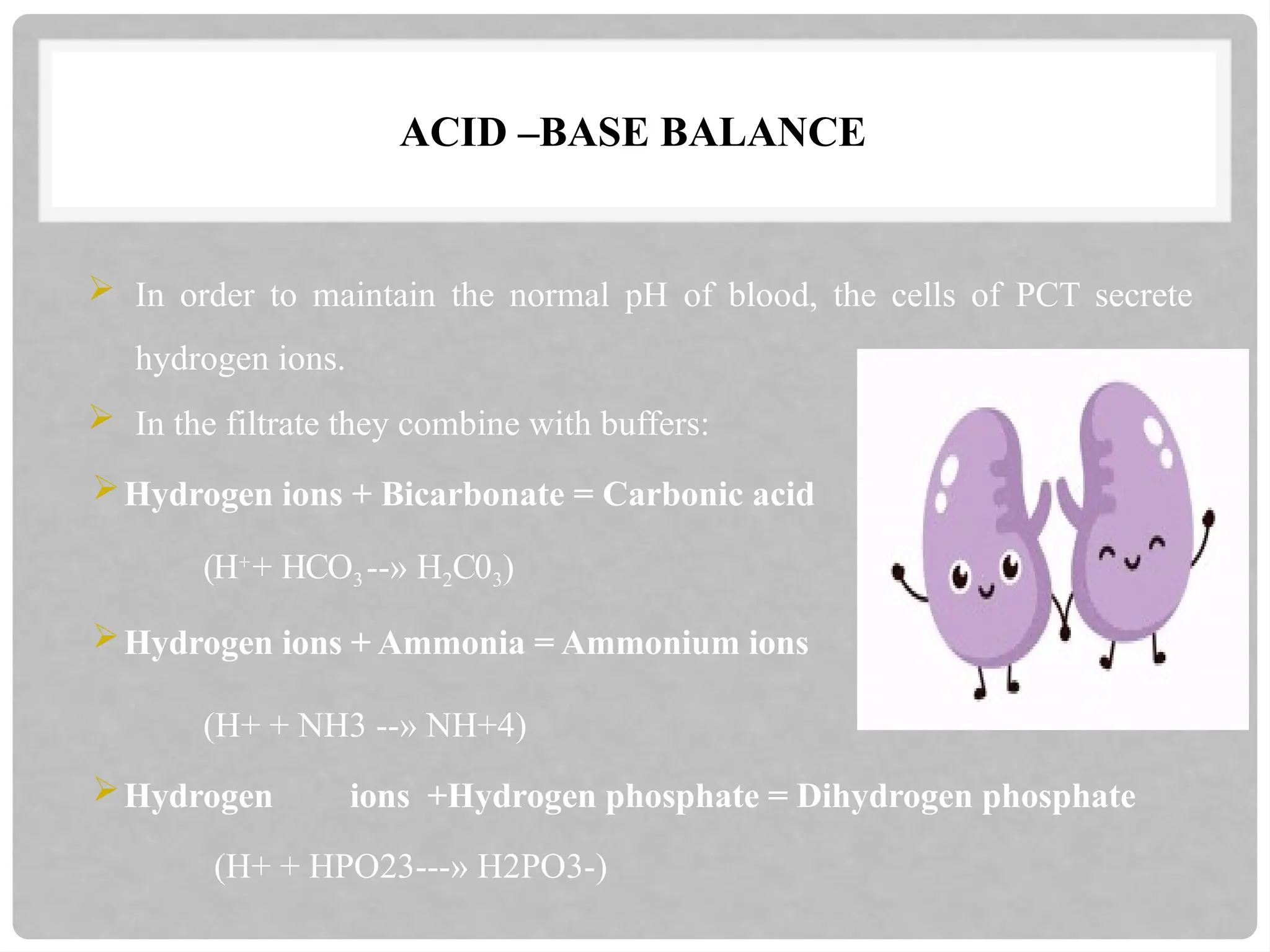 ACID –BASE BALANCE
 In order to maintain the normal pH of blood, the cells of PCT secrete
hydrogen ions.
 In the filtrate they combine with buffers:
Hydrogen ions + Bicarbonate = Carbonic acid
(H++ HCO3 --» H2C03)
Hydrogen ions + Ammonia = Ammonium ions
(H+ + NH3 --» NH+4)
Hydrogen ions +Hydrogen phosphate = Dihydrogen phosphate
(H+ + HPO23---» H2PO3-)
 