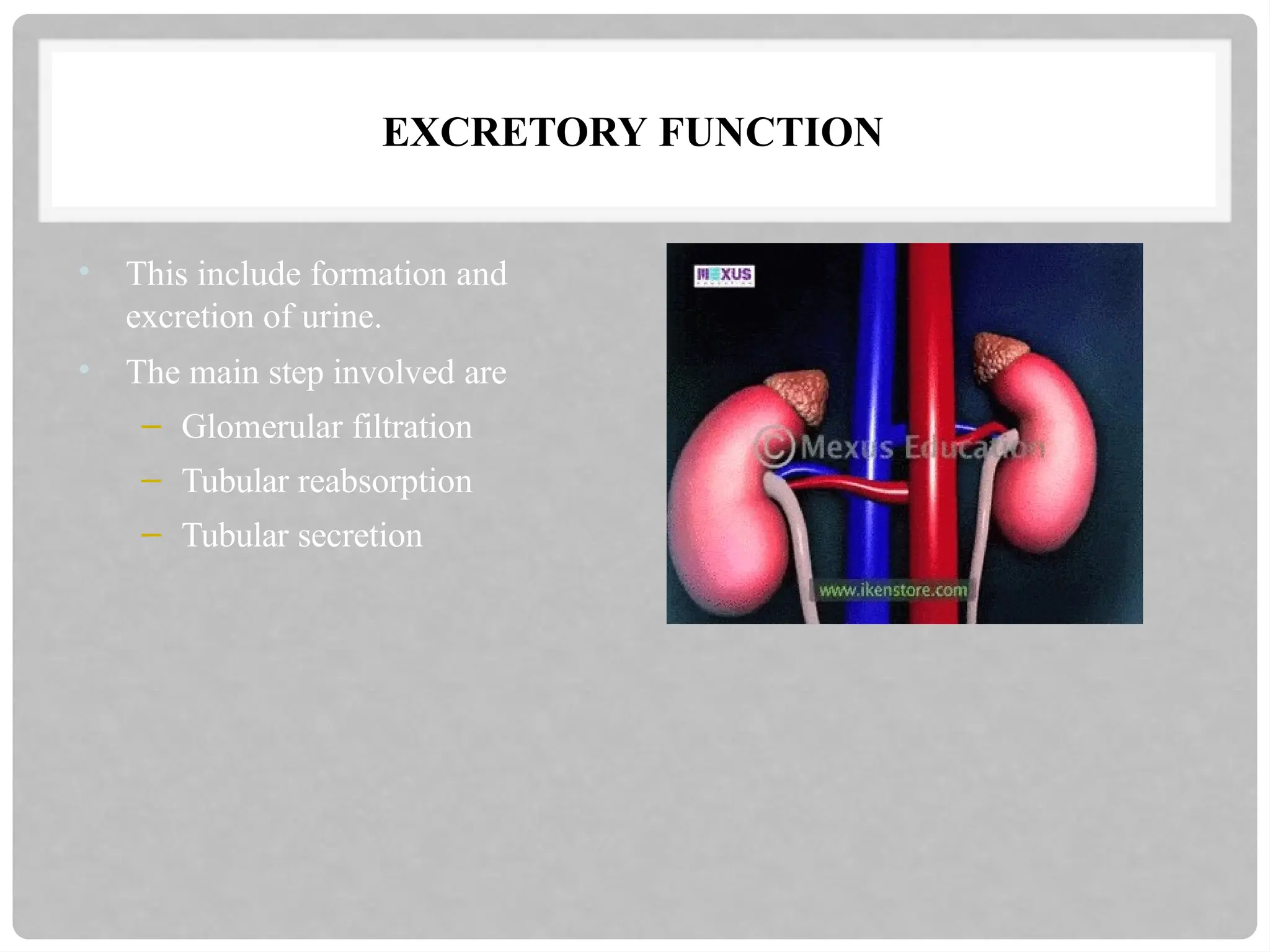 EXCRETORY FUNCTION
• This include formation and
excretion of urine.
• The main step involved are
– Glomerular filtration
– Tubular reabsorption
– Tubular secretion
 