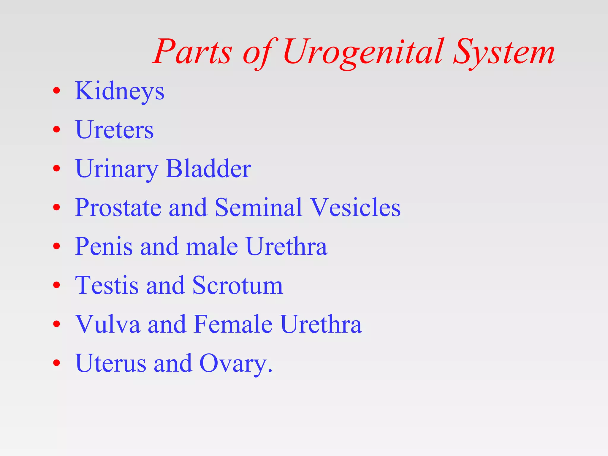 Genitourinary system surgical antomy.pptx