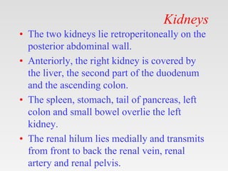 Kidneys
• The two kidneys lie retroperitoneally on the
posterior abdominal wall.
• Anteriorly, the right kidney is covered by
the liver, the second part of the duodenum
and the ascending colon.
• The spleen, stomach, tail of pancreas, left
colon and small bowel overlie the left
kidney.
• The renal hilum lies medially and transmits
from front to back the renal vein, renal
artery and renal pelvis.
 