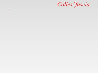 Colles’fascia
•
 