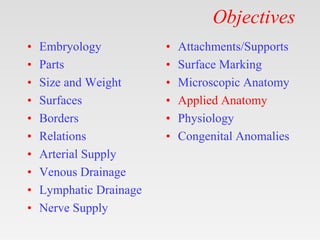 Objectives
• Embryology
• Parts
• Size and Weight
• Surfaces
• Borders
• Relations
• Arterial Supply
• Venous Drainage
• Lymphatic Drainage
• Nerve Supply
• Attachments/Supports
• Surface Marking
• Microscopic Anatomy
• Applied Anatomy
• Physiology
• Congenital Anomalies
 