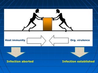 Host immunity Org. virulence
Infection aborted Infection established
 
