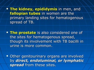  The kidney, epididymis The kidney, epididymis in men, andin men, and
fallopian tubesfallopian tubes in women are thein women are the
primary landing sites for hematogenousprimary landing sites for hematogenous
spread of TB.spread of TB.
 The prostate The prostate is also considered one ofis also considered one of
the sites for hematogenous spread,the sites for hematogenous spread,
though its involvement with TB bacilli inthough its involvement with TB bacilli in
urine is more common.urine is more common.
 Other genitourinary organs are involvedOther genitourinary organs are involved
byby direct, endoluminal, or lymphaticdirect, endoluminal, or lymphatic
spreadspread from these sites.from these sites.
 