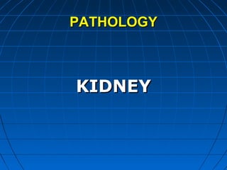 PATHOLOGYPATHOLOGY
KIDNEYKIDNEY
 
