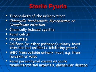 Sterile PyuriaSterile Pyuria
 Tuberculosis of the urinary tractTuberculosis of the urinary tract
 Chlamydia trachomatis, Mycoplasma, orChlamydia trachomatis, Mycoplasma, or
Ureaplasma infectionUreaplasma infection
 Chemically induced cystitisChemically induced cystitis
 Renal calculiRenal calculi
 ProstatitisProstatitis
 Coliform (or other pathogen) urinary tractColiform (or other pathogen) urinary tract
infection but antibiotic inhibiting growthinfection but antibiotic inhibiting growth
 WBC from outside urinary tract, e.g. fromWBC from outside urinary tract, e.g. from
foreskin or vulvaforeskin or vulva
 Renal parenchymal causes as acuteRenal parenchymal causes as acute
tubulointerstitial nephritis, glomerular diseasetubulointerstitial nephritis, glomerular disease
 