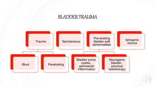 BLADDERTRAUMA
Trauma
Blunt Penetrating
Spontaneous
Pre-existing
bladder wall
abnormalities
Bladder tumor,
cystitis ,
perivesical
inflammation
Neurogenic
bladder ,
previous
radiotherapy
Iatrogenic
trauma
 