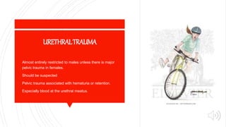 URETHRALTRAUMA
 Almost entirely restricted to males unless there is major
pelvic trauma in females.
 Should be suspected
 Pelvic trauma associated with hematuria or retention.
 Especially blood at the urethral meatus.
 