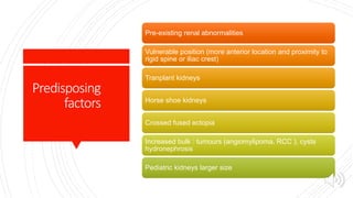 Predisposing
factors
Pre-existing renal abnormalities
Vulnerable position (more anterior location and proximity to
rigid spine or iliac crest)
Tranplant kidneys
Horse shoe kidneys
Crossed fused ectopia
Increased bulk : tumours (angiomylipoma, RCC ), cysts
hydronephrosis
Pediatric kidneys larger size
 