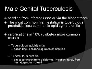 Male Genital Tuberculosis
 seeding from infected urine or via the bloodstream.
 The most common manifestation is tuberculous
prostatitis, less common is epididymo-orchitis
 calcifications in 10% (diabetes more common
cause)
 Tuberculous epididymitis
○ ascending / descending route of infection
 Tuberculous orchitis
○ direct extension from epididymal infection, rarely from
hematogenous spread
 