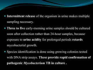  Intermittent release of the organism in urine makes multiple
sampling necessary.
 Three to five early-morning urine samples should be cultured
soon after collection rather than 24-hour samples, because
exposure to urine acidity for prolonged periods retards
mycobacterial growth.
 Species identification is done using growing colonies tested
with DNA strip assays. These provide rapid confirmation of
pathogenic Mycobacterium TB in culture .
 