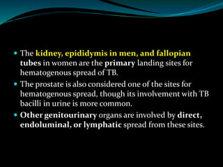  The kidney, epididymis in men, and fallopian
tubes in women are the primary landing sites for
hematogenous spread of TB.
 The prostate is also considered one of the sites for
hematogenous spread, though its involvement with TB
bacilli in urine is more common.
 Other genitourinary organs are involved by direct,
endoluminal, or lymphatic spread from these sites.
 