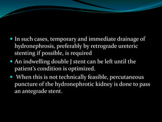  In such cases, temporary and immediate drainage of
hydronephrosis, preferably by retrograde ureteric
stenting if possible, is required
 An indwelling double J stent can be left until the
patient’s condition is optimized.
 When this is not technically feasible, percutaneous
puncture of the hydronephrotic kidney is done to pass
an antegrade stent.
 