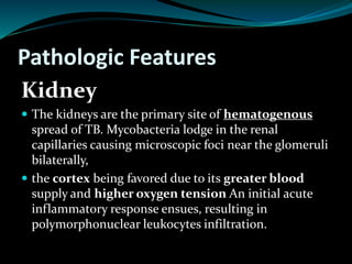 Pathologic Features
Kidney
 The kidneys are the primary site of hematogenous
spread of TB. Mycobacteria lodge in the renal
capillaries causing microscopic foci near the glomeruli
bilaterally,
 the cortex being favored due to its greater blood
supply and higher oxygen tension An initial acute
inflammatory response ensues, resulting in
polymorphonuclear leukocytes infiltration.
 