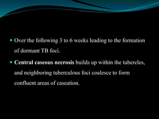  Over the following 3 to 6 weeks leading to the formation
of dormant TB foci.
 Central caseous necrosis builds up within the tubercles,
and neighboring tuberculous foci coalesce to form
confluent areas of caseation.
 