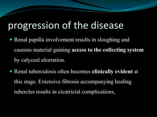 progression of the disease
 Renal papilla involvement results in sloughing and
caseous material gaining access to the collecting system
by calyceal ulceration.
 Renal tuberculosis often becomes clinically evident at
this stage. Extensive fibrosis accompanying healing
tubercles results in cicatricial complications,
 