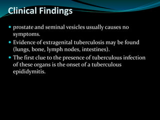 Clinical Findings
 prostate and seminal vesicles usually causes no
symptoms.
 Evidence of extragenital tuberculosis may be found
(lungs, bone, lymph nodes, intestines).
 The first clue to the presence of tuberculous infection
of these organs is the onset of a tuberculous
epididymitis.
 