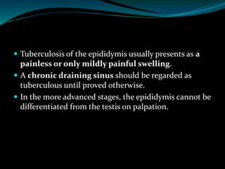  Tuberculosis of the epididymis usually presents as a
painless or only mildly painful swelling.
 A chronic draining sinus should be regarded as
tuberculous until proved otherwise.
 In the more advanced stages, the epididymis cannot be
differentiated from the testis on palpation.
 