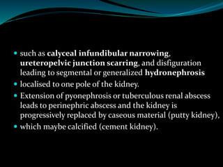  such as calyceal infundibular narrowing,
ureteropelvic junction scarring, and disfiguration
leading to segmental or generalized hydronephrosis
 localised to one pole of the kidney.
 Extension of pyonephrosis or tuberculous renal abscess
leads to perinephric abscess and the kidney is
progressively replaced by caseous material (putty kidney),
 which maybe calcified (cement kidney).
 