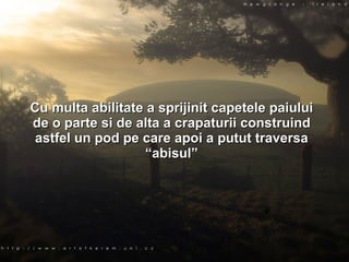 Cu multa abilitate a sprijinit capetele paiului de o parte si de alta a crapaturii construind astfel un pod pe care apoi a putut traversa “abisul” 