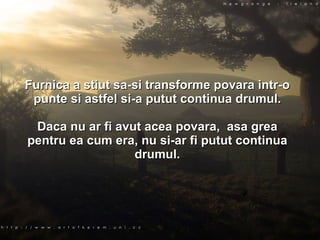 Furnica a stiut sa-si transforme povara intr-o punte si astfel si-a putut continua drumul. Daca nu ar fi avut acea povara,  asa grea pentru ea cum era, nu si-ar fi putut continua drumul. 