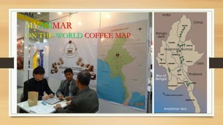 MYANMAR
ON THE WORLD COFFEE MAP
 