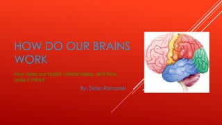 HOW DO OUR BRAINS
WORK
How does our brains create ideas, and how
does it think?
By: Dylan Romanski

 