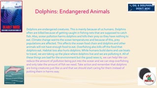 Dolphins: Endangered Animals
Dolphins are endangered creatures. This is mainly because of us humans. Dolphins
often are killed because of getting caught in fishing nets that are supposed to catch
fish. Also, ocean pollution harms dolphins and kills their prey so they have nothing to
eat. Climate change warms the ocean temperatures and because of this, prey
populations are affected. This affects the ocean food chain and dolphins and other
animals will not have enough food to eat. Overfishing also kills off the food that
dolphins eat. Habitat loss also hurts dolphins. While humans build dams and use boats
to travel, we are taking up the place where dolphins live and we are polluting it. All of
these things are bad for the environment but the good news is, we can help! We can
reduce the amount of pollution being put into the ocean and we can stop overfishing
and only take the amount of fish we need. Take action and remember that dolphins
are living creatures just like us and that we should start caring for them instead of
putting them in harms way.

 