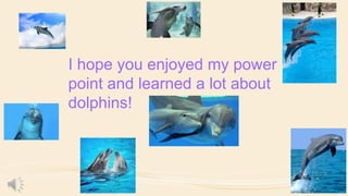 I hope you enjoyed my power
point and learned a lot about
dolphins!

 