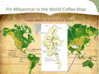 Pin #Myanmar in the World Coffee Map
 
