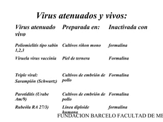 Virus atenuados y vivos:
Virus atenuado            Preparada en:         Inactivada con
vivo
Poliomielitis tipo sabin Cultivos riñon mono    formalina
1,2,3
Viruela virus vaccinia    Piel de ternera       Formalina


Triple viral:             Cultivos de embrión de Formalina
Sarampión (Schwartz)      pollo


Parotiditis (Urabe        Cultivos de embrión de Formalina
Am/9)                     pollo
Rubeóla RA 27/3)          Línea diploide        formalina
                          humana
                         FUNDACION BARCELO FACULTAD DE ME
 