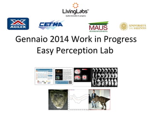 Gennaio 2014 Work in Progress
Easy Perception Lab

 