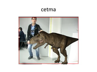 cetma

 