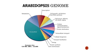 GENOMICS AND BIOINFORMATICS | PPTX